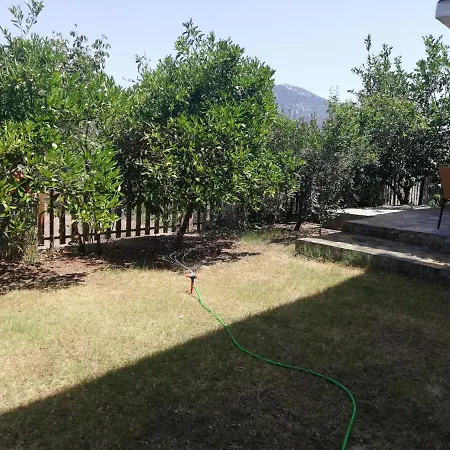 çamkokusu Ortaca (Mugla)